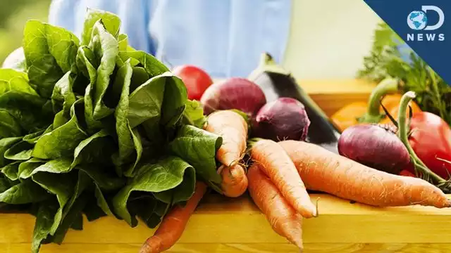 Benefits of Organic Food